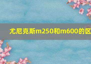 尤尼克斯m250和m600的区别