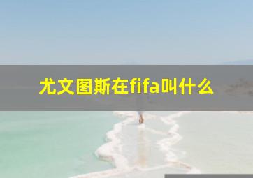 尤文图斯在fifa叫什么