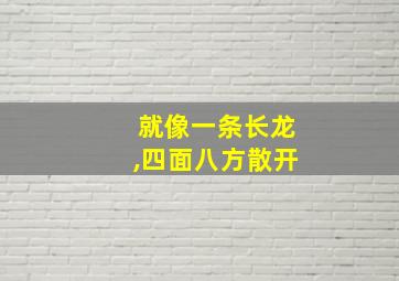 就像一条长龙,四面八方散开