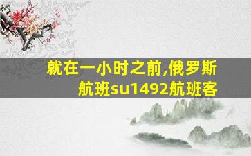 就在一小时之前,俄罗斯航班su1492航班客