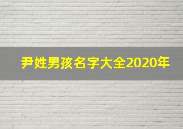 尹姓男孩名字大全2020年