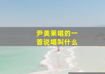 尹美莱唱的一首说唱叫什么