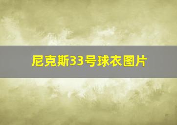 尼克斯33号球衣图片