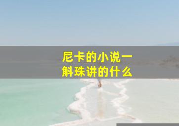 尼卡的小说一斛珠讲的什么