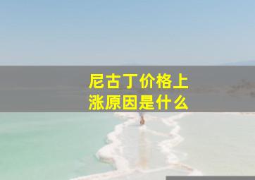 尼古丁价格上涨原因是什么