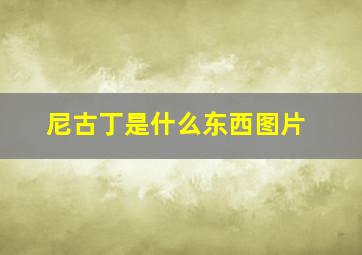 尼古丁是什么东西图片