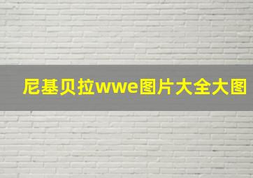 尼基贝拉wwe图片大全大图