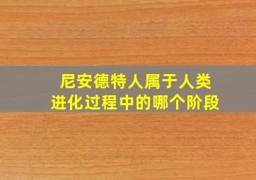 尼安德特人属于人类进化过程中的哪个阶段