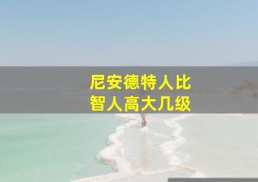 尼安德特人比智人高大几级