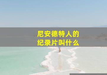 尼安德特人的纪录片叫什么