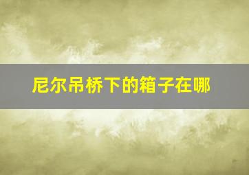 尼尔吊桥下的箱子在哪