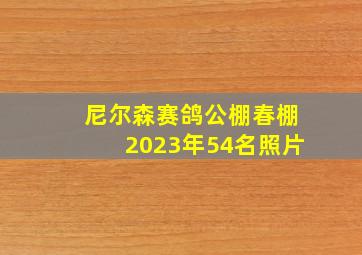 尼尔森赛鸽公棚春棚2023年54名照片