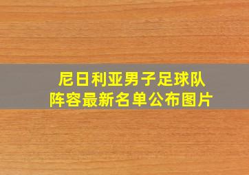 尼日利亚男子足球队阵容最新名单公布图片