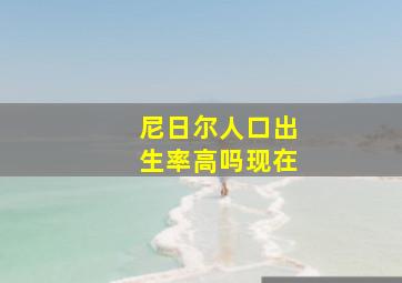 尼日尔人口出生率高吗现在