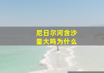 尼日尔河含沙量大吗为什么