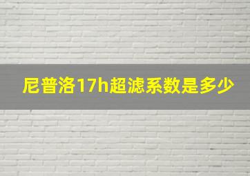 尼普洛17h超滤系数是多少