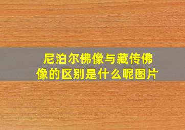 尼泊尔佛像与藏传佛像的区别是什么呢图片