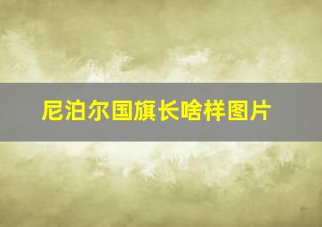 尼泊尔国旗长啥样图片