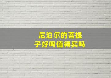 尼泊尔的菩提子好吗值得买吗