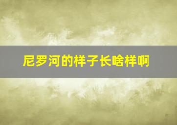 尼罗河的样子长啥样啊