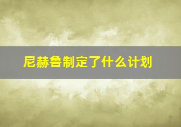 尼赫鲁制定了什么计划