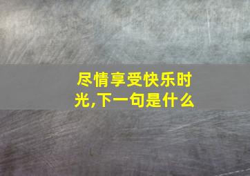 尽情享受快乐时光,下一句是什么