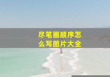 尽笔画顺序怎么写图片大全