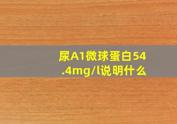 尿A1微球蛋白54.4mg/l说明什么