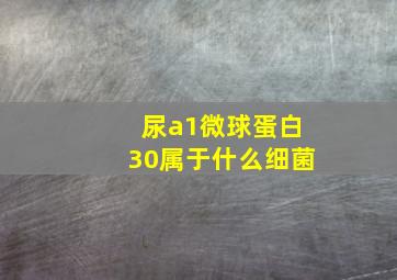 尿a1微球蛋白30属于什么细菌