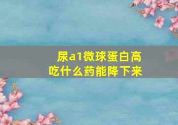 尿a1微球蛋白高吃什么药能降下来