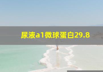 尿液a1微球蛋白29.8