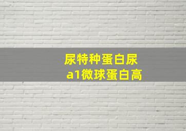 尿特种蛋白尿a1微球蛋白高