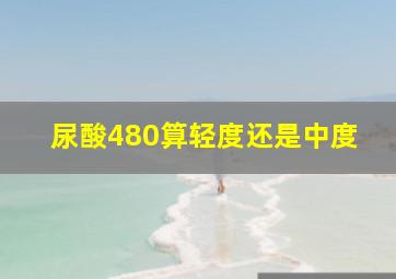 尿酸480算轻度还是中度