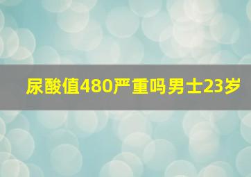 尿酸值480严重吗男士23岁