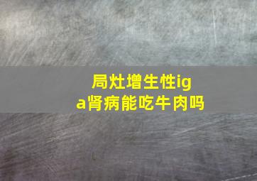 局灶增生性iga肾病能吃牛肉吗