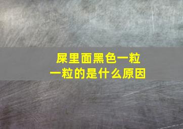 屎里面黑色一粒一粒的是什么原因