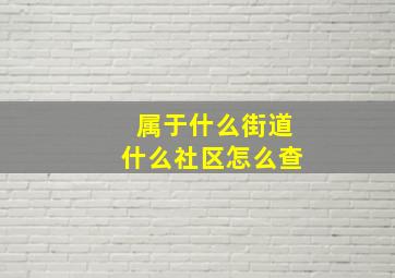 属于什么街道什么社区怎么查