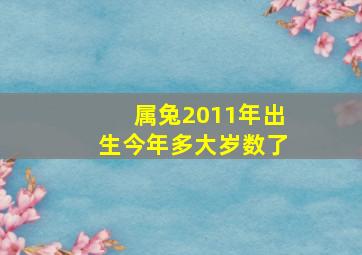 属兔2011年出生今年多大岁数了