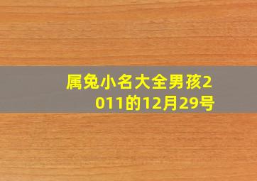 属兔小名大全男孩2011的12月29号