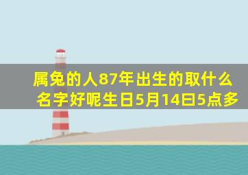 属兔的人87年出生的取什么名字好呢生日5月14曰5点多