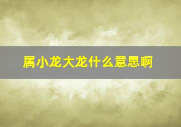 属小龙大龙什么意思啊