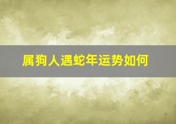 属狗人遇蛇年运势如何