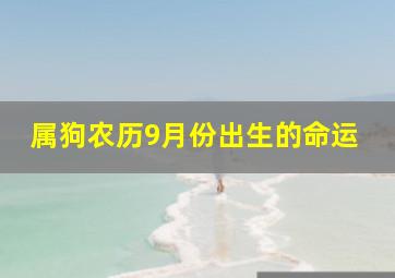 属狗农历9月份出生的命运