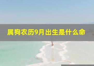 属狗农历9月出生是什么命