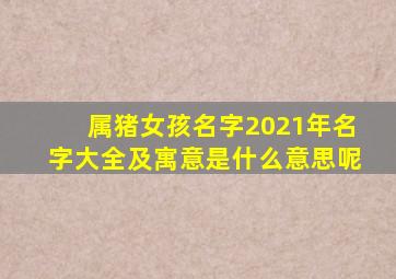 属猪女孩名字2021年名字大全及寓意是什么意思呢