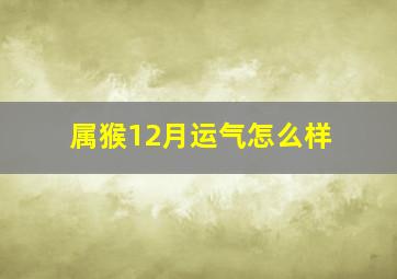 属猴12月运气怎么样