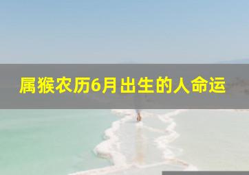 属猴农历6月出生的人命运