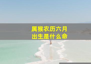 属猴农历六月出生是什么命