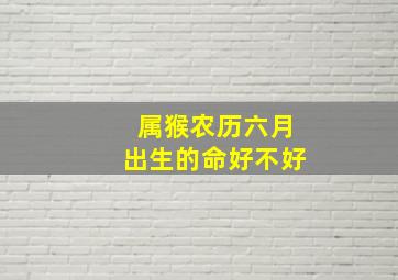 属猴农历六月出生的命好不好