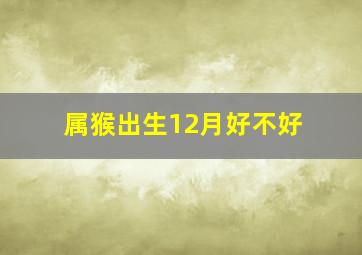 属猴出生12月好不好